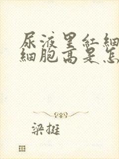 尿液里红细胞白细胞高是怎么回事