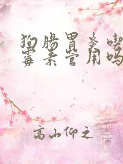 狗肠胃炎吃庆大霉素管用吗