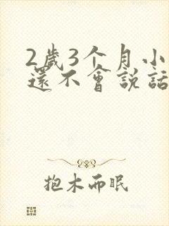 2岁3个月小孩还不会说话