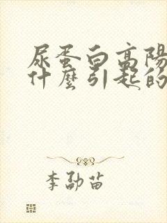 尿蛋白高阳性是什么引起的