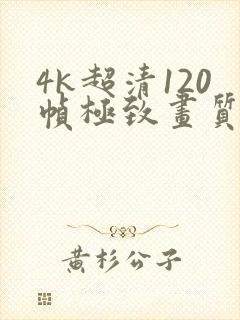 4k超清120帧极致画质