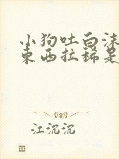小狗吐白沫不吃东西拉稀是怎么回事