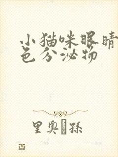 小猫咪眼睛有黄色分泌物