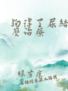 狗得了尿结石怎么治疗