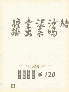 胆囊泥沙结石能排出来吗