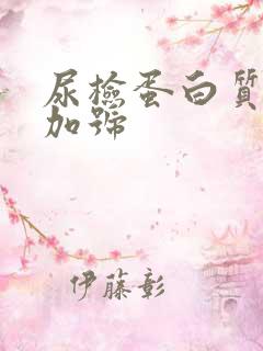 尿检蛋白质一个加号