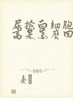 尿检白细胞沉渣高是怎么回事