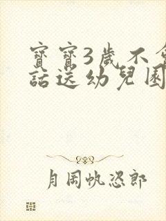 宝宝3岁不会说话送幼儿园