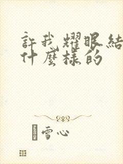 许我耀眼结局是什么样的