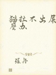 猫拉不出屎尿怎么办