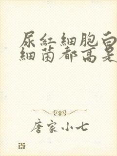 尿红细胞白细胞细菌都高是咋回事