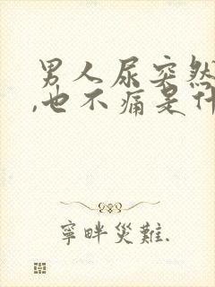 男人尿突然尿血,也不痛是什么原因