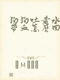 狗狗吐黄水拉稀带血怎么回事