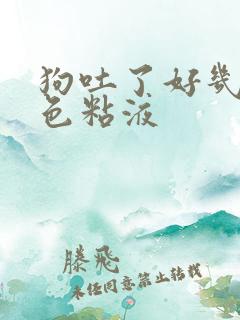 狗吐了好几次白色粘液