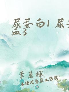 尿蛋白1 尿潜血3