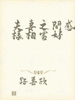 夫妻之间感情怎样相处好