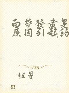 白带发黄是什么原因引起的呢