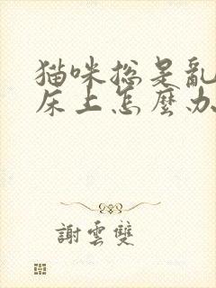 猫咪总是乱尿在床上怎么办