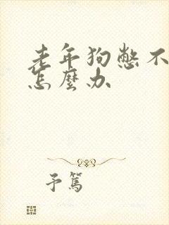 老年狗憋不住尿怎么办