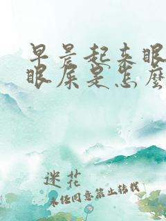 早晨起来眼角有眼屎是怎么回事