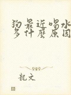 狗最近喝水多尿多什么原因