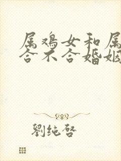 属鸡女和属马男合不合婚姻