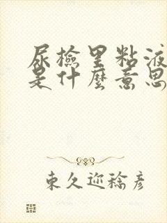 尿检里粘液丝高是什么意思