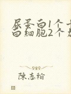 尿蛋白1个十尿白细胞2个加号
