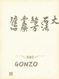 胆囊结石大怎么治疗方法