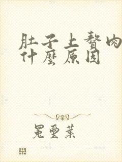 肚子上赘肉多是什么原因