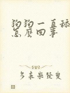 狗狗一直舔蛋蛋怎么回事