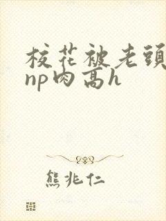 校花被老头强迫np肉高h