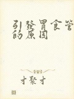 引发胃食管反流的原因