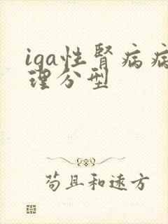 iga性肾病病理分型