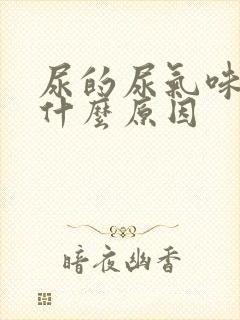 尿的尿气味大是什么原因