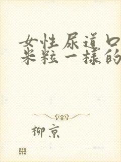 女性尿道口有硬米粒一样的疙瘩