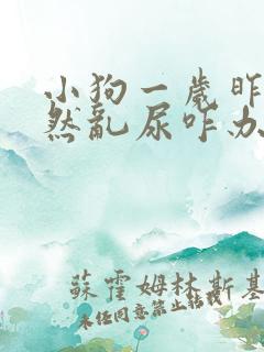 小狗一岁昨天突然乱尿咋办