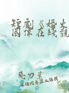 短剧《婚火》林国伟在线观看