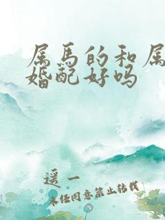 属马的和属龙的婚配好吗