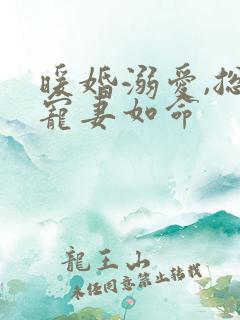 暖婚溺爱,总裁宠妻如命