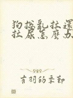 狗总乱拉还踩屎拉尿怎么办