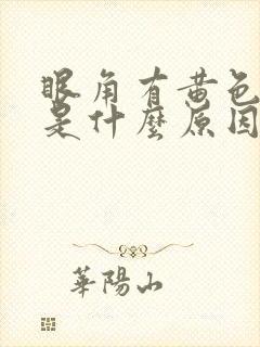 眼角有黄色眼屎是什么原因