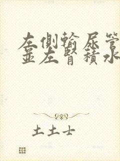 左侧输尿管结石并左肾积水怎么治疗