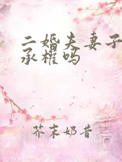 二婚夫妻子女继承权吗