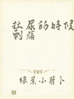 拉尿的时候有点刺痛