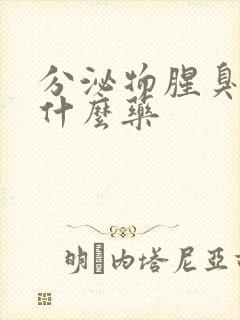 分泌物腥臭味用什么药