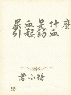 尿血是什么原因引起的血