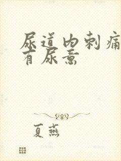 尿道内刺痛一直有尿意