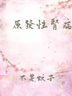 原发性肾病治疗