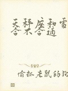 天秤座和处女座合不合适